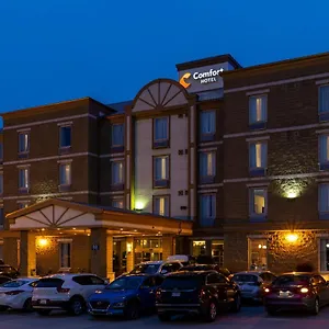 Comfort Bayer's Hotel